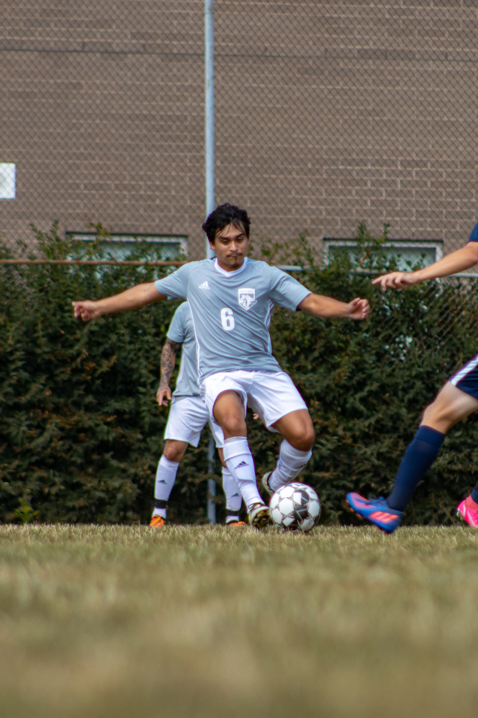Archers Fall Short Against Crusaders